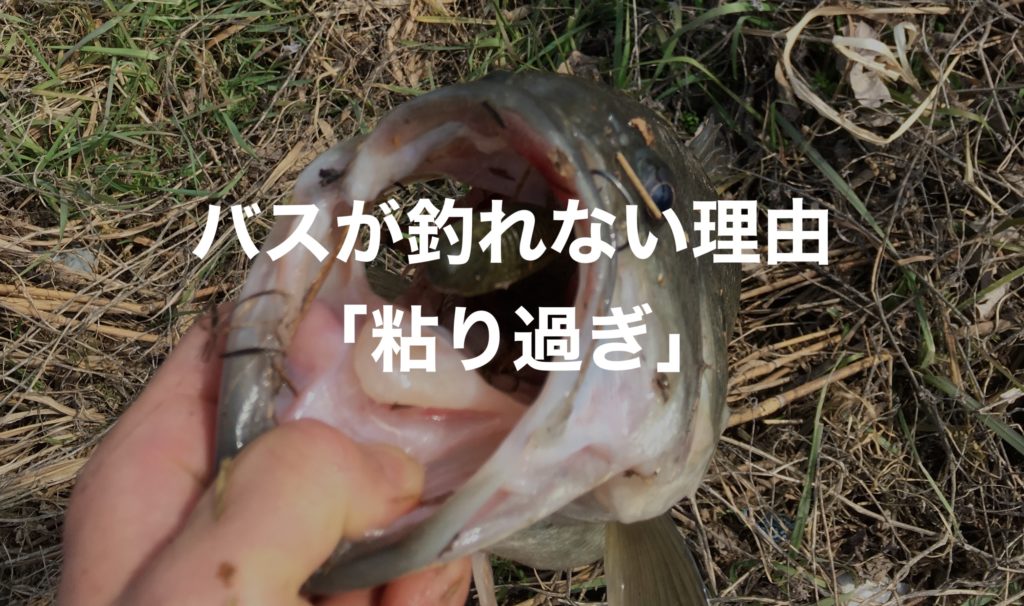 バスが釣れない理由 粘りすぎです 一箇所で費やす最適な時間とは